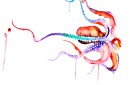 Octopus Watercolor Print Octopus Watercolor Print