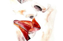 Watercolor Print Passion Watercolor Print